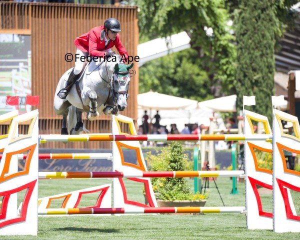 jumper H5 Shaq Attack (Belgium Sporthorse, 2015, from Cornet Obolensky)