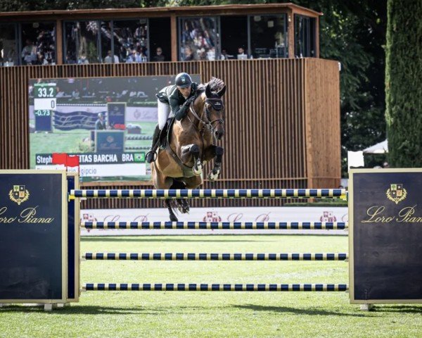 jumper Dinozo Imperio Egipcio (Selle Français, 2013, from Diamant de Semilly)