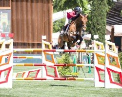 jumper Forrestal (Oldenburg show jumper, 2014, from Don Diarado)