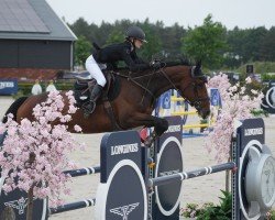 Springpferd Rebelle-K van't Kattenheye (Belgisches Warmblut, 2017, von VDL Harley)
