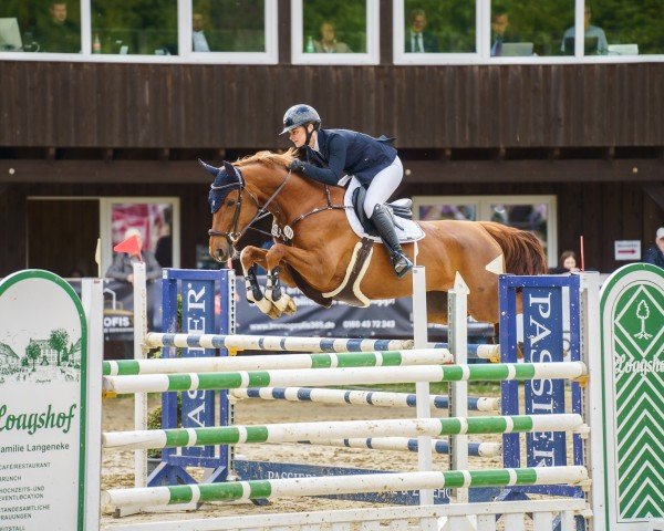 jumper Dia Bellini (Westphalian, 2018, from Diathago)