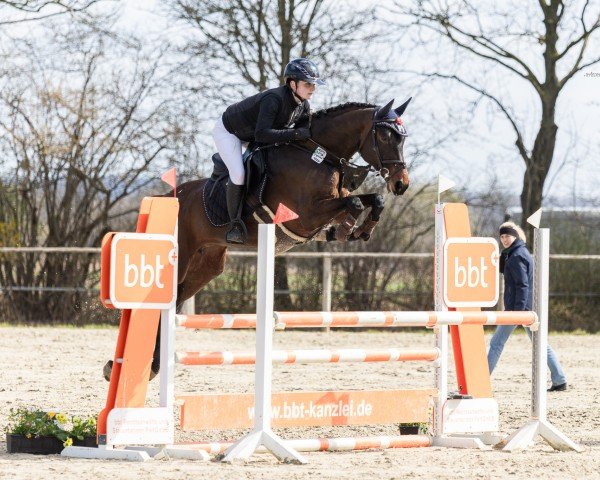 broodmare Delilah PJ (Hanoverian, 2020, from Diarado)