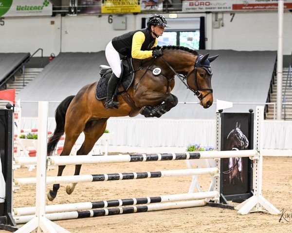 jumper Calicos PJ (Hanoverian, 2021, from Calido I)