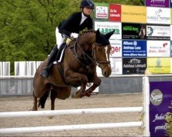 jumper Ornella Vh (Oldenburg show jumper, 2016, from Ogano Sitte)