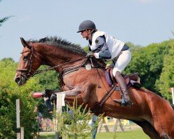 Springpferd Daily's Starlight (Deutsches Sportpferd, 2011, von Dambach)