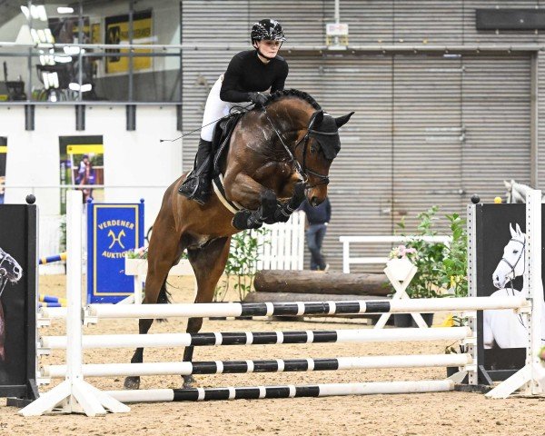 jumper Check it out PJ (Hanoverian, 2020, from K.i Checkter)