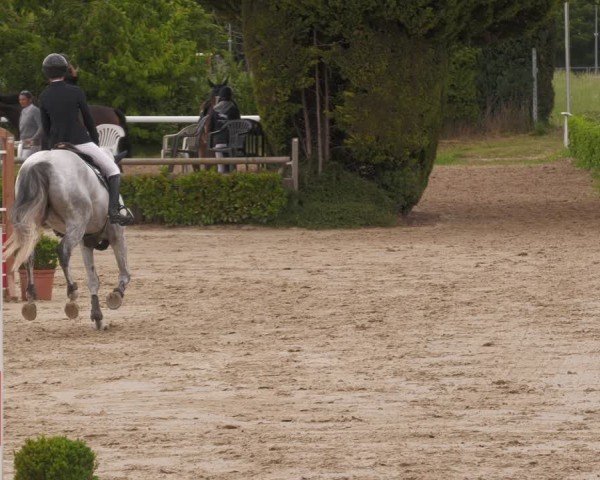 Reitturnier Bornheim-Widdig 2025