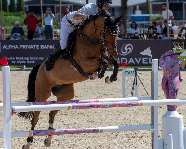 jumper Qachica (Westphalian, 2018, from Quasimodo vd Molendreef)