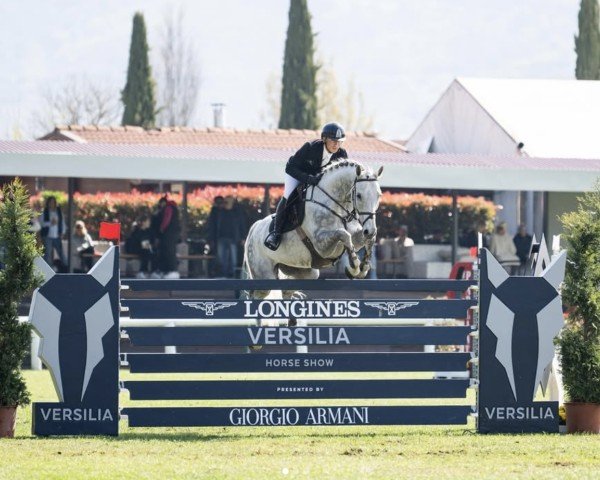 jumper Captain Corlando (Westphalian, 2017, from Cornet Obolensky)