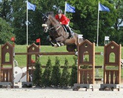 jumper Ocean's Twelve 2 (Hanoverian, 1999, from Federweisser)