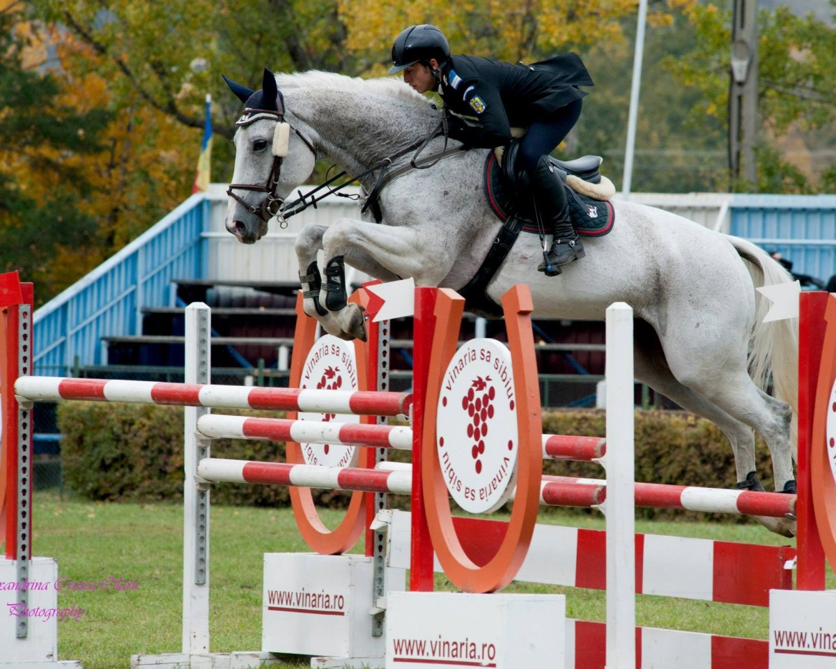 horse Godot 14 (Westphalian, 2004, from Grand Coeur)