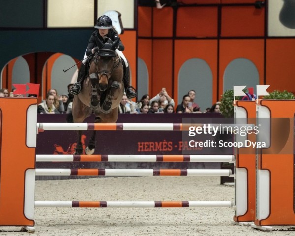 jumper Chaccmo (Oldenburg, 2010, from Chaccomo)