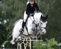jumper Grey Silk (Hanoverian, 2012, from Grey Top)