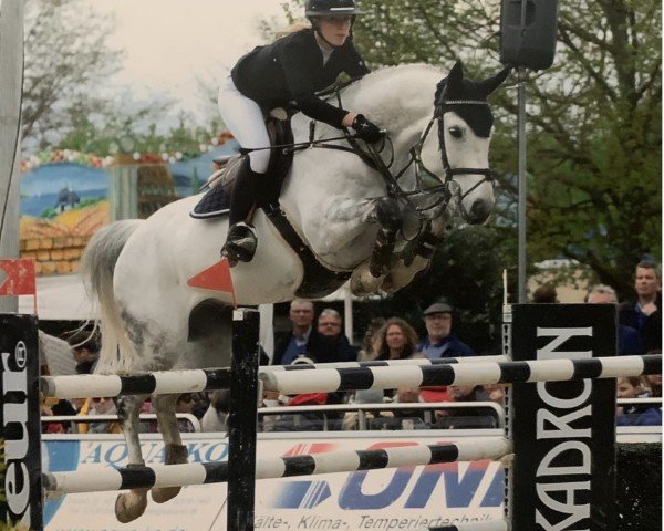 Springpferd Caitano 34 (Hannoveraner, 2010, von Contagio)