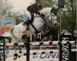 jumper Caitano 34 (Hanoverian, 2010, from Contagio)