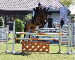 jumper Chanel 479 (Hanoverian, 2012, from Check In 2)