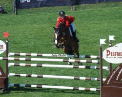 Springpferd Call Me Campino (Deutsches Reitpony, 2006, von Charm of Nibelungen)