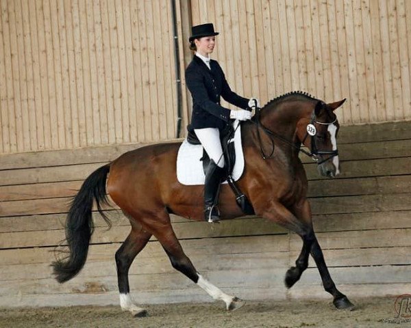 broodmare Likanda (Hanoverian, 2000, from Londonderry)