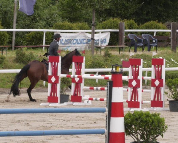 Reitturnier Bornheim-Widdig 2025