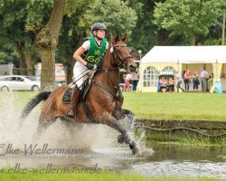 jumper Mr.T. 4 (German Sport Horse, 2003, from Marocain xx)