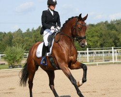 dressage horse Johnny Walker JS (German Sport Horse, 2015, from Glock's Johnson Tn)