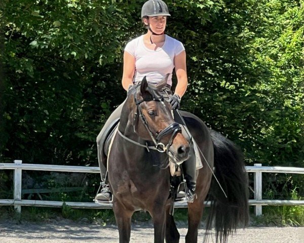 broodmare Dalia 102 (Oldenburg, 2015, from Netto)