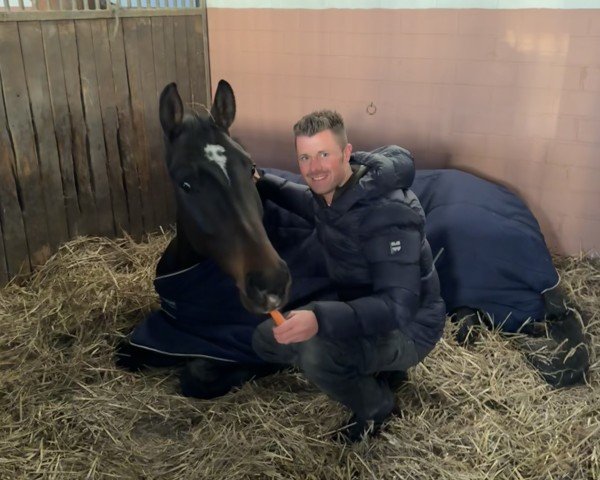 dressage horse King Loui 19 (Hanoverian, 2020, from Kjento)