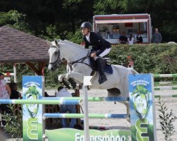 jumper Levistina 5 (German Sport Horse, 2008, from Levkoi)