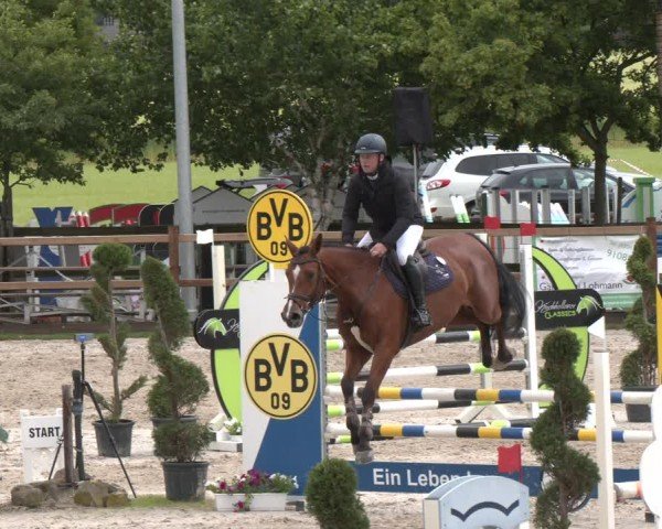 Reitturnier Kirchhellen/Stall Dieckmann 2025