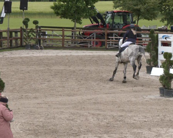 Reitturnier Kirchhellen/Stall Dieckmann 2025