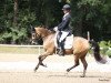 dressage horse Lemon 46 (German Riding Pony, 2015, from Nobel Nagano NRW)