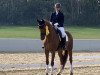 dressage horse Fuerst Fabio (Hanoverian, 2011, from Fürst Nymphenburg)