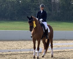 dressage horse Fuerst Fabio (Hanoverian, 2011, from Fürst Nymphenburg)