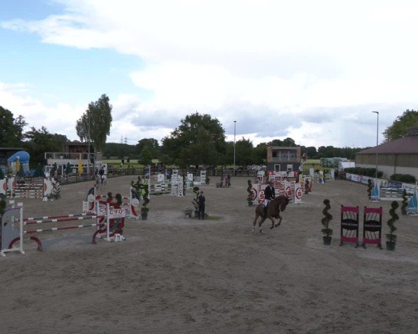 Reitturnier Kirchhellen/Stall Dieckmann 2025