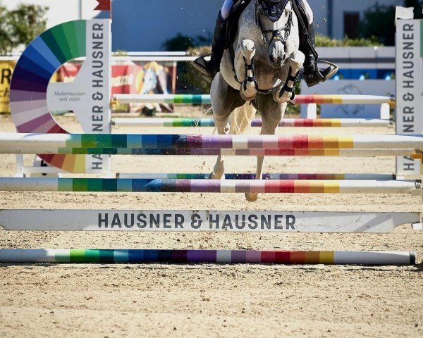 jumper Lyrik (unknown, 2012)