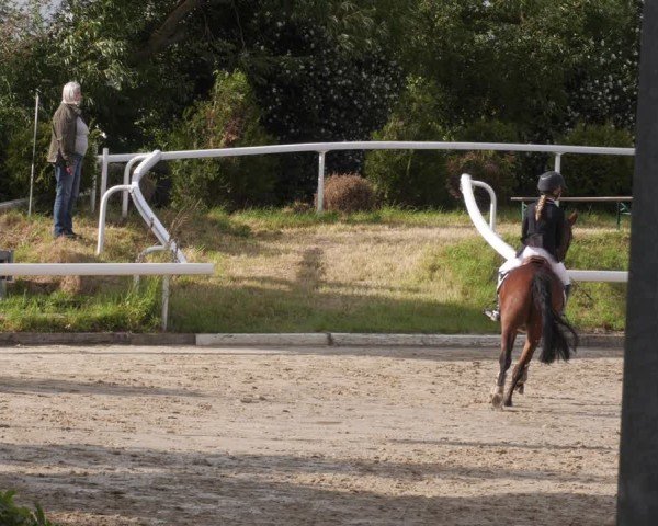 Reitturnier Bornheim-Widdig 2025