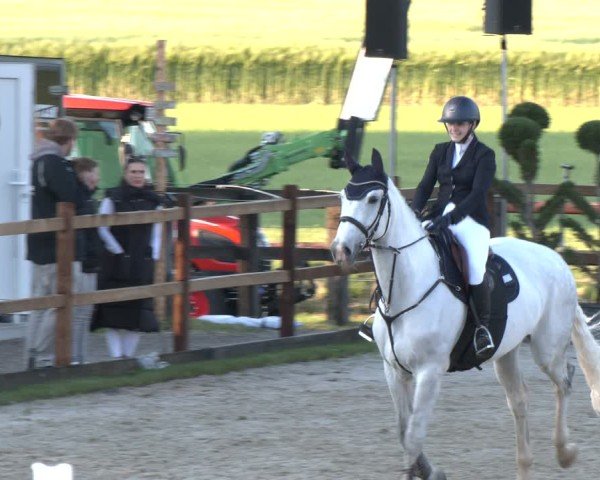 Reitturnier Kirchhellen/Stall Dieckmann 2025