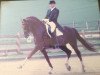 stallion Beau Jolie (Hanoverian, 1996, from Brentano II)