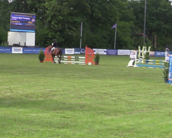 Reitturnier Scharnebeck 2025