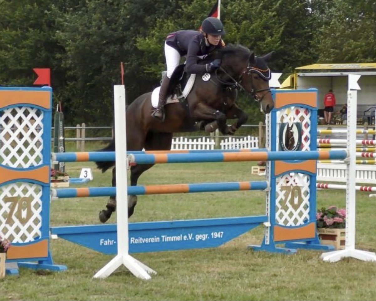 broodmare Lollipop WE (German Riding Pony, 2009, from Henry)