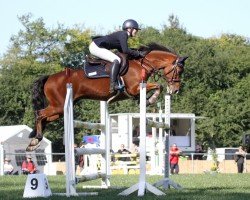 Deckhengst H-S Mounty (Deutsches Reitpony, 2007, von Montelino N)