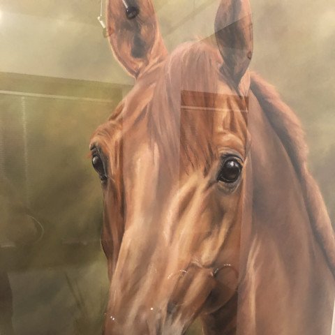horse D'Oro Fino (Westphalian, 1989, from Damenstolz)