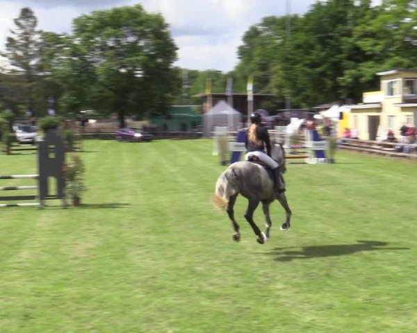 Reitturnier Scharnebeck 2025