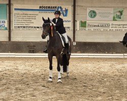 dressage horse Shakira S 4 (Hanoverian, 2021)
