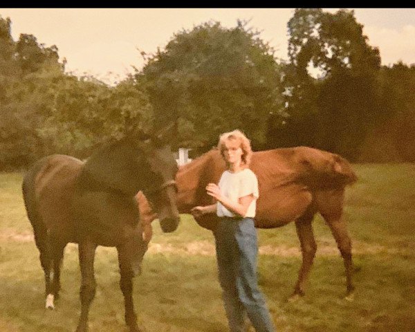 broodmare Tanja (Mecklenburg, 1988, from Trafaret)