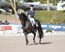 dressage horse L'Arbuste OLD (Oldenburger, 2010, from Skovens Rafael)