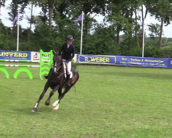 Reitturnier Scharnebeck 2025
