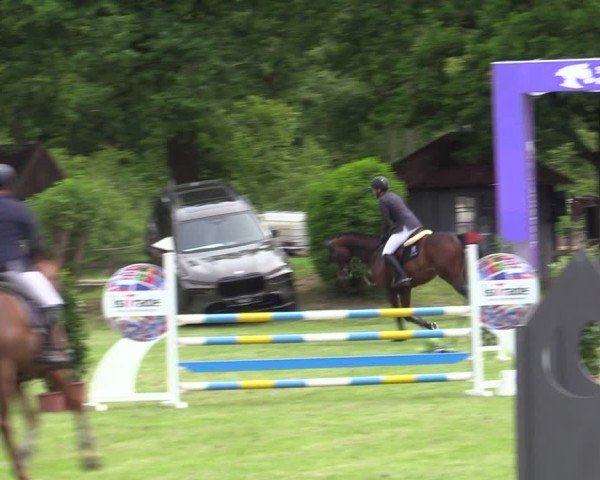 Reitturnier Scharnebeck 2025