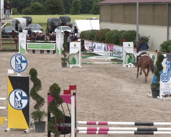 Reitturnier Kirchhellen/Stall Dieckmann 2025