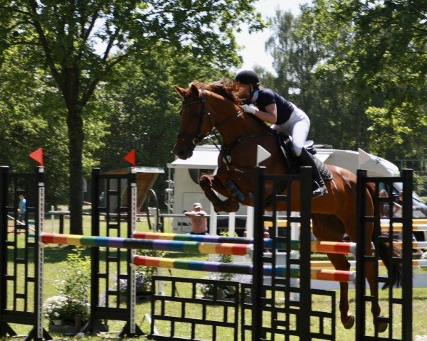 jumper In Time 10 (Hanoverian, 2008, from Iberio)
